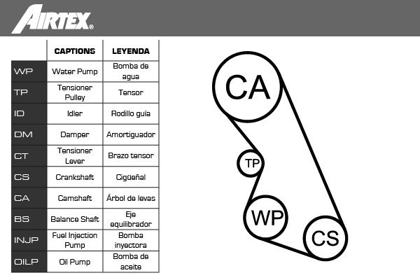 AIRTEX Водяной насос + комплект зубчатого ремня WPK-167901