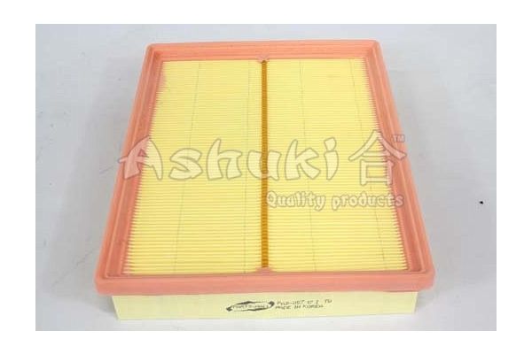 ASHUKI oro filtras Y017-01