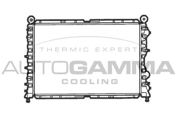 AUTOGAMMA Радиатор, охлаждение двигателя 100010