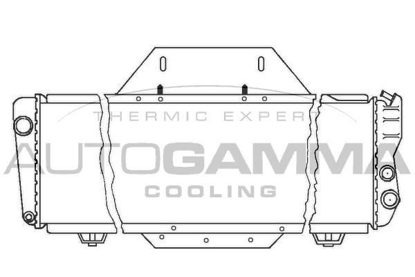 AUTOGAMMA Радиатор, охлаждение двигателя 100032
