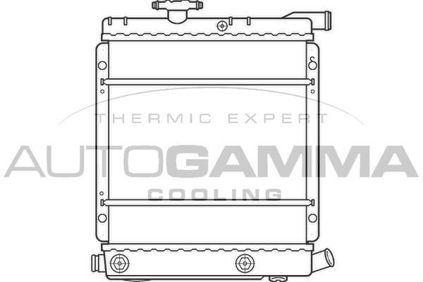 AUTOGAMMA Радиатор, охлаждение двигателя 100140