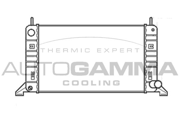 AUTOGAMMA Радиатор, охлаждение двигателя 100344