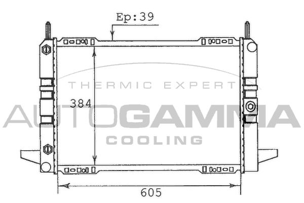 AUTOGAMMA Радиатор, охлаждение двигателя 100368