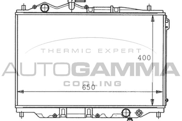 AUTOGAMMA Радиатор, охлаждение двигателя 100498