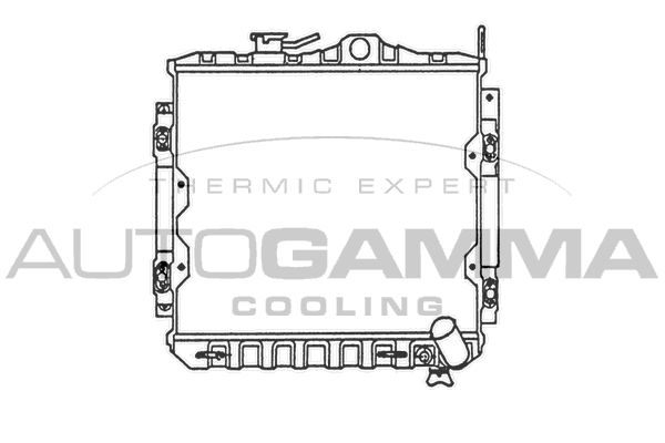 AUTOGAMMA Радиатор, охлаждение двигателя 100568