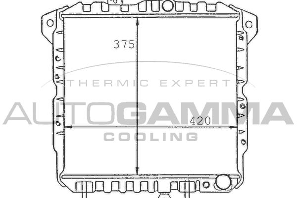 AUTOGAMMA Радиатор, охлаждение двигателя 100571