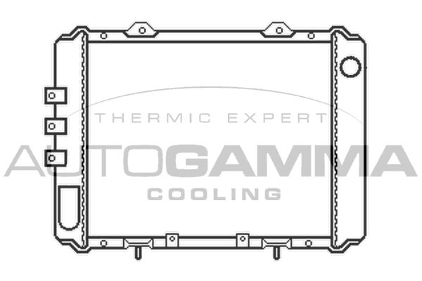 AUTOGAMMA Радиатор, охлаждение двигателя 100651