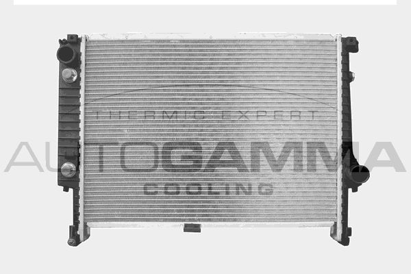 AUTOGAMMA radiatorius, variklio aušinimas 101124