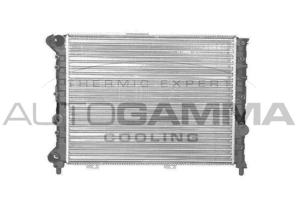 AUTOGAMMA radiatorius, variklio aušinimas 101143