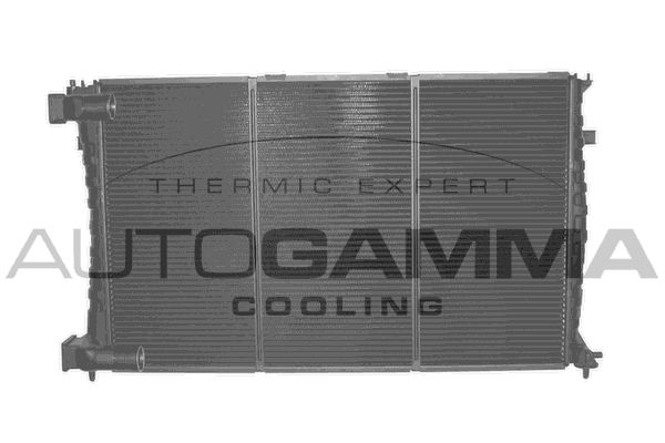 AUTOGAMMA Радиатор, охлаждение двигателя 101343