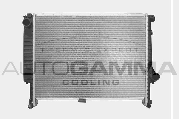 AUTOGAMMA radiatorius, variklio aušinimas 101366