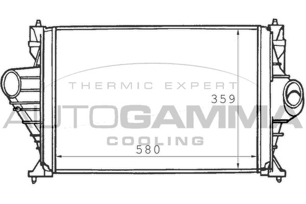 AUTOGAMMA Интеркулер 101487