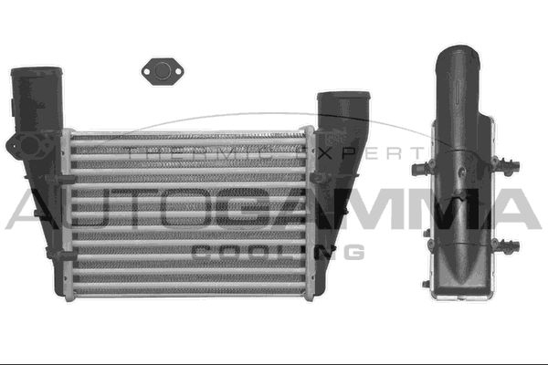AUTOGAMMA Интеркулер 101858