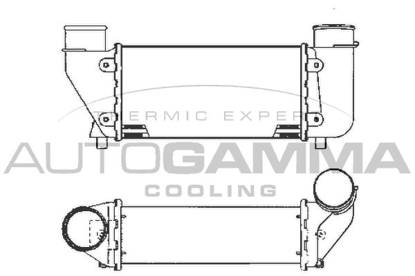 AUTOGAMMA tarpinis suslėgto oro aušintuvas, kompresorius 101898