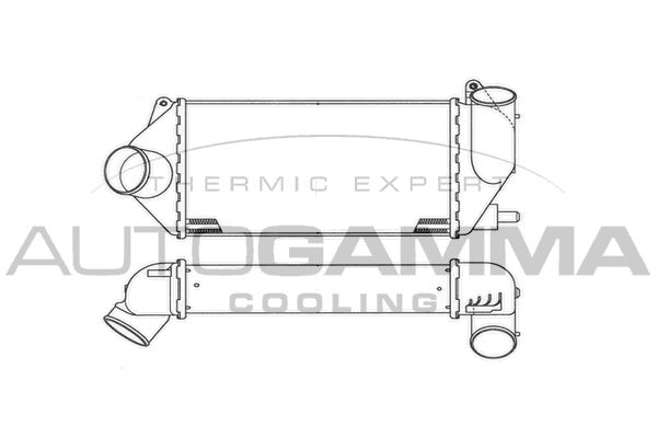 AUTOGAMMA Интеркулер 101921
