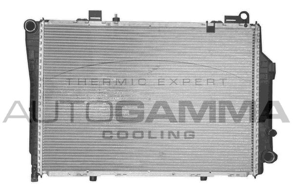 AUTOGAMMA Радиатор, охлаждение двигателя 102001