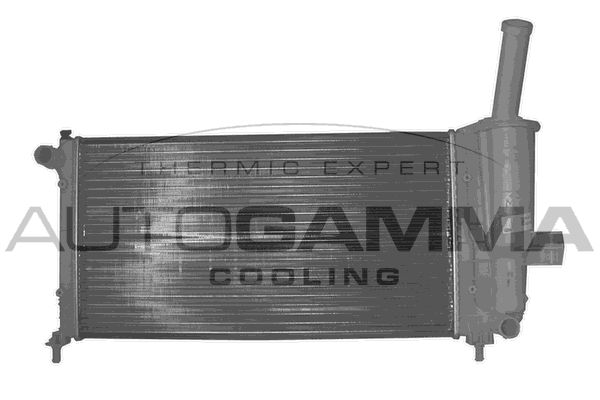 AUTOGAMMA radiatorius, variklio aušinimas 102059
