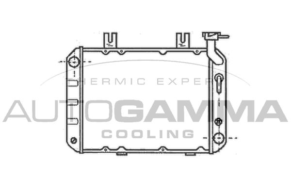AUTOGAMMA Радиатор, охлаждение двигателя 102106