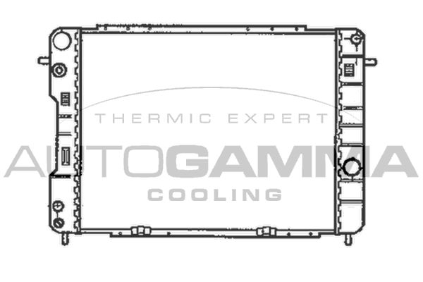 AUTOGAMMA Радиатор, охлаждение двигателя 102256