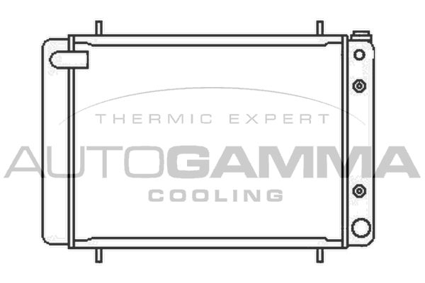AUTOGAMMA Радиатор, охлаждение двигателя 102292