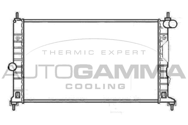 AUTOGAMMA Радиатор, охлаждение двигателя 102303