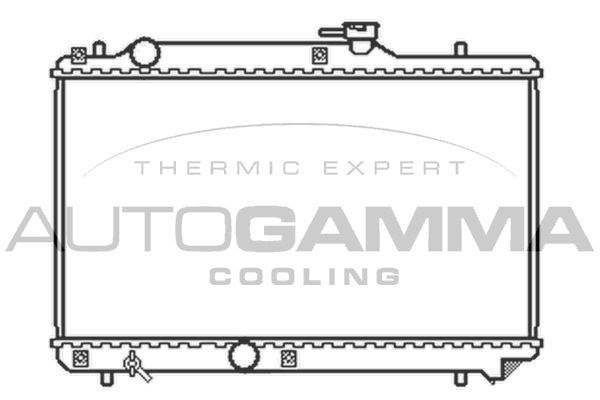 AUTOGAMMA Радиатор, охлаждение двигателя 102322