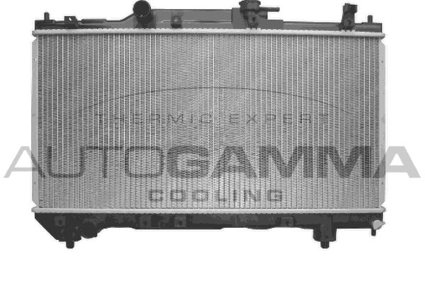 AUTOGAMMA radiatorius, variklio aušinimas 102348