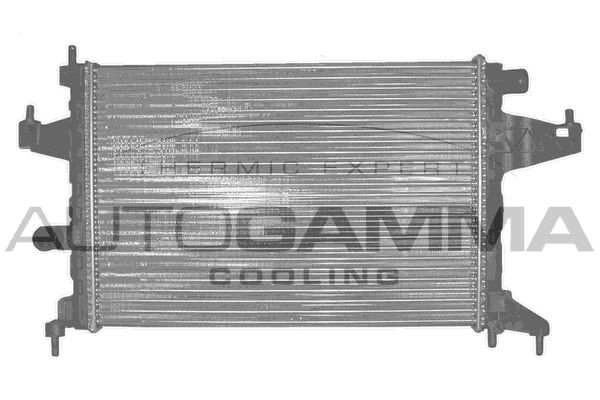 AUTOGAMMA radiatorius, variklio aušinimas 102849