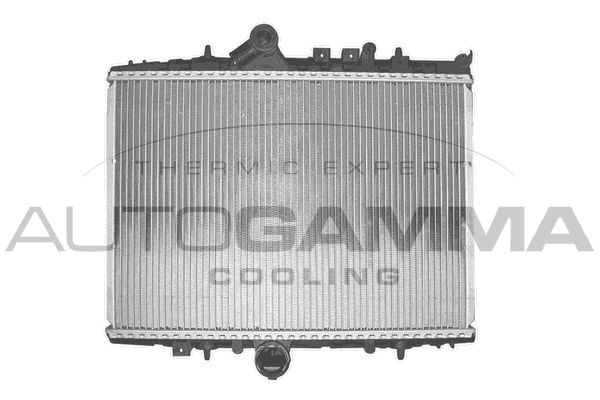 AUTOGAMMA Радиатор, охлаждение двигателя 102859