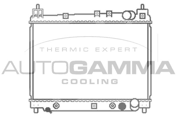 AUTOGAMMA Радиатор, охлаждение двигателя 102957