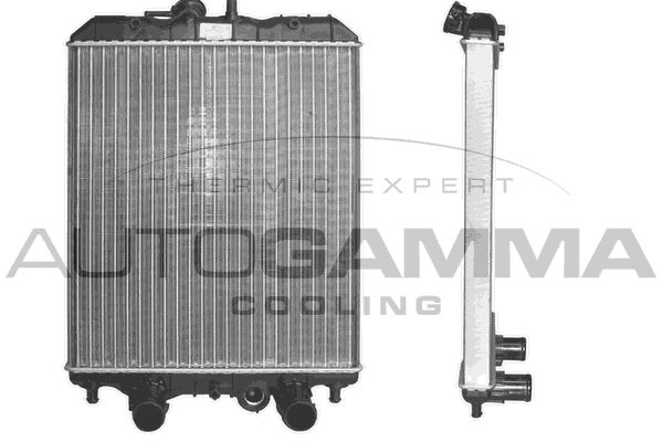 AUTOGAMMA radiatorius, variklio aušinimas 102959