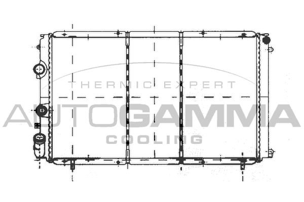AUTOGAMMA radiatorius, variklio aušinimas 103002