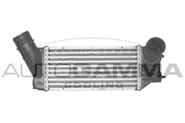 AUTOGAMMA Интеркулер 103003