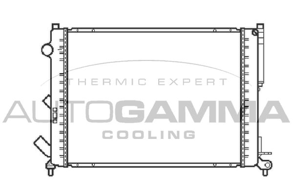 AUTOGAMMA Радиатор, охлаждение двигателя 103066
