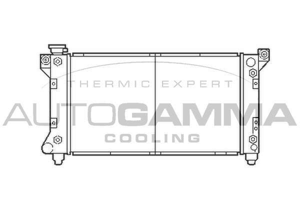 AUTOGAMMA Радиатор, охлаждение двигателя 103135