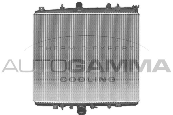 AUTOGAMMA Радиатор, охлаждение двигателя 103167