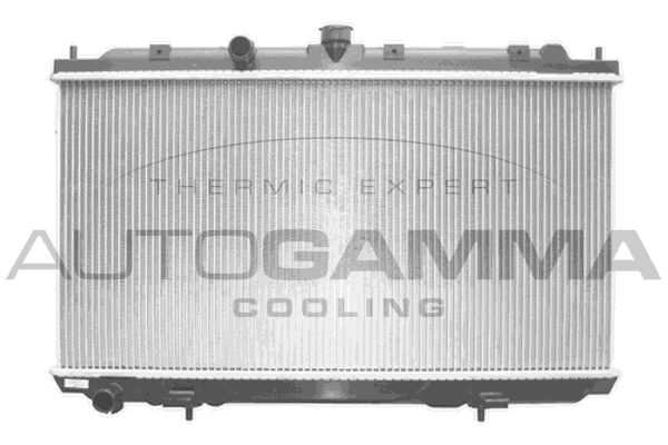 AUTOGAMMA Радиатор, охлаждение двигателя 103498