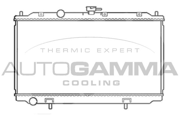 AUTOGAMMA Радиатор, охлаждение двигателя 103499