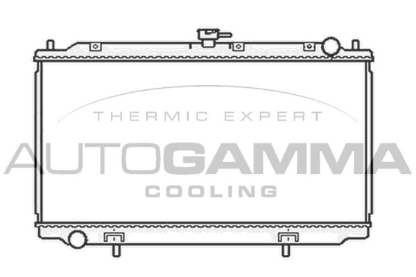 AUTOGAMMA Радиатор, охлаждение двигателя 103502