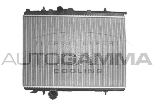 AUTOGAMMA Радиатор, охлаждение двигателя 103567
