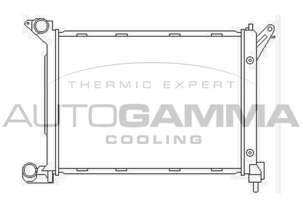 AUTOGAMMA Радиатор, охлаждение двигателя 103671