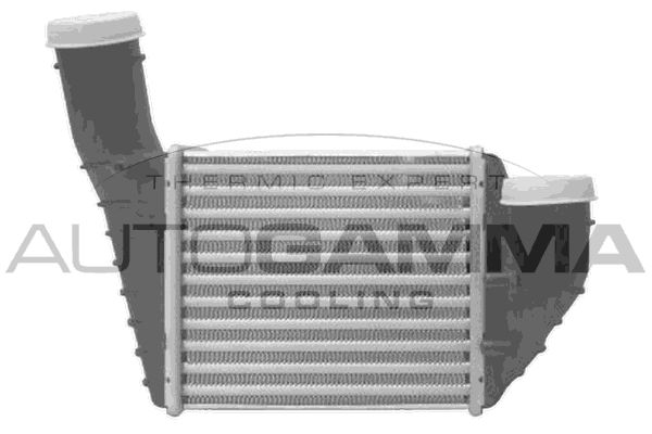 AUTOGAMMA Интеркулер 103735
