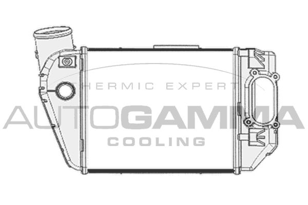 AUTOGAMMA Интеркулер 103774