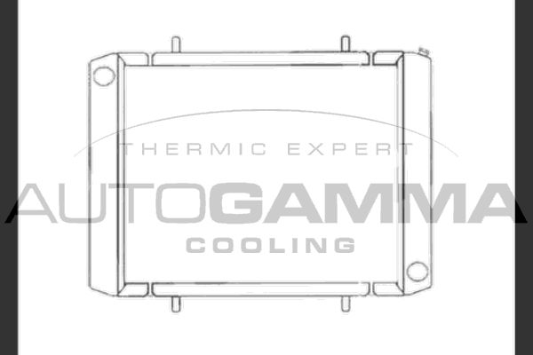 AUTOGAMMA radiatorius, variklio aušinimas 104049
