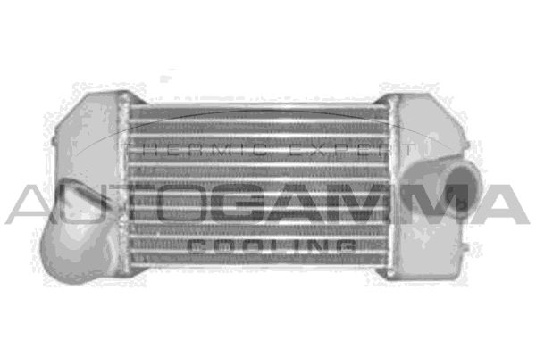 AUTOGAMMA Интеркулер 104136