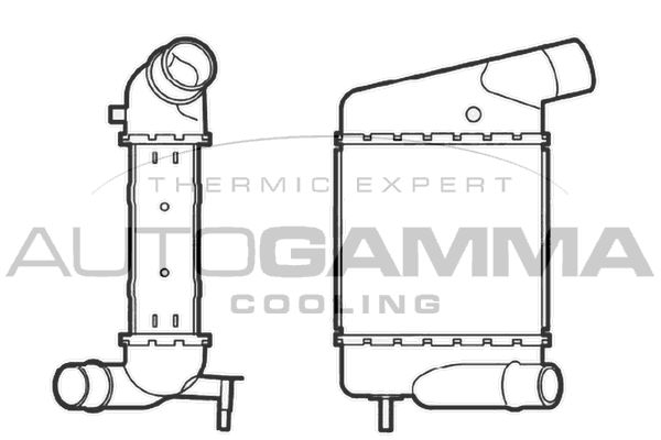 AUTOGAMMA Интеркулер 104492