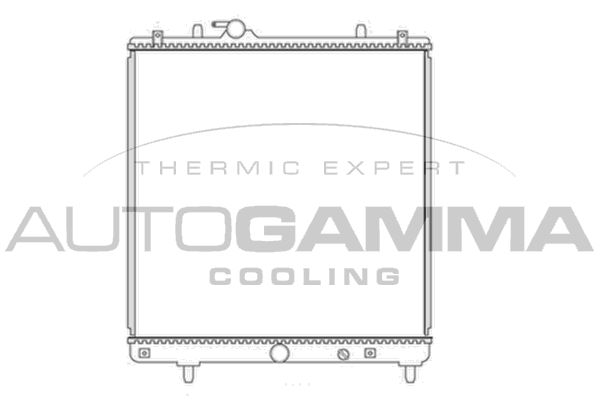 AUTOGAMMA Радиатор, охлаждение двигателя 104549