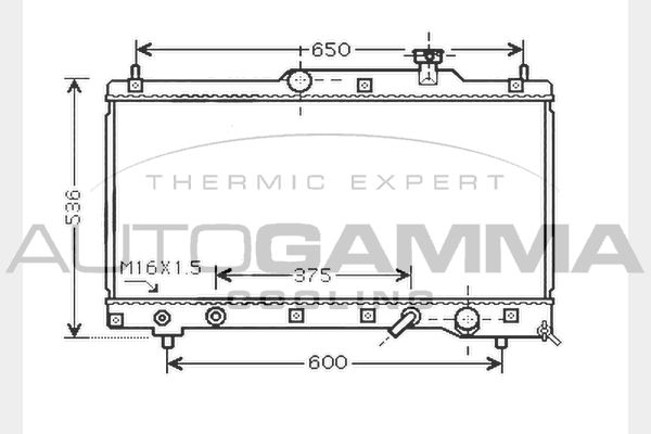 AUTOGAMMA Радиатор, охлаждение двигателя 104744