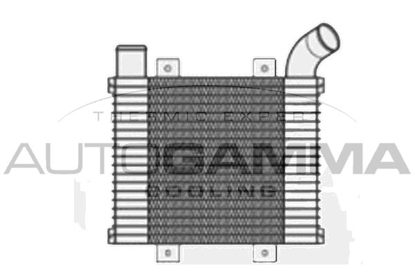 AUTOGAMMA Интеркулер 104939