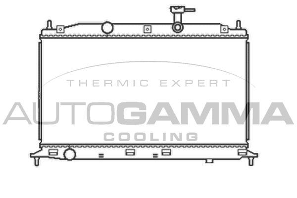 AUTOGAMMA Радиатор, охлаждение двигателя 105046